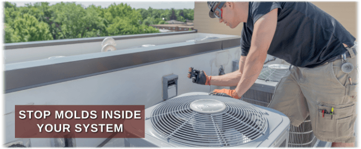 HVAC Mold Removal Kensington MD